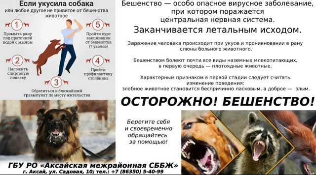 foto 2025 08 01 11 33 001