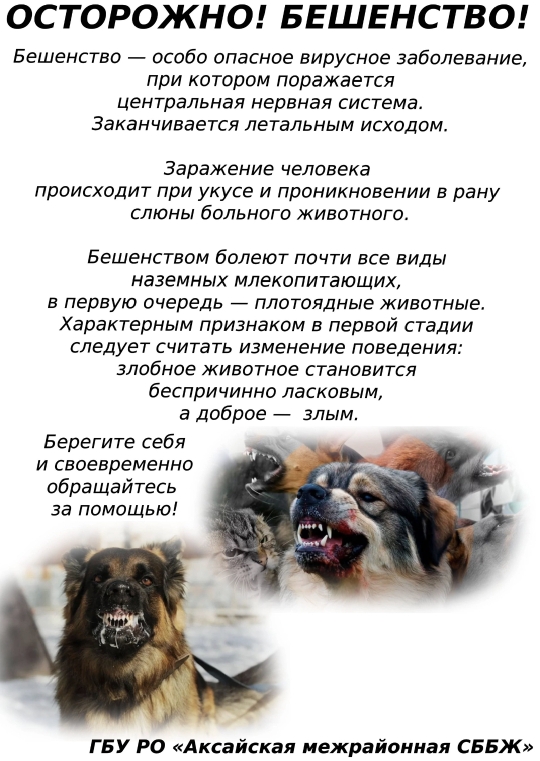 foto 2025 08 01 11 33 002